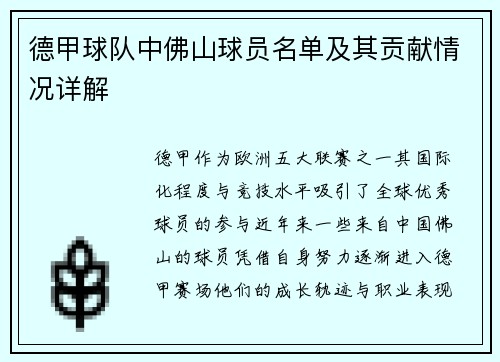 德甲球队中佛山球员名单及其贡献情况详解
