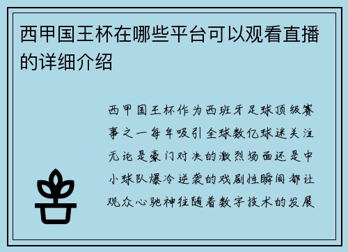 西甲国王杯在哪些平台可以观看直播的详细介绍